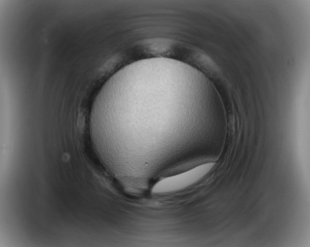 X0000083970412200703091807