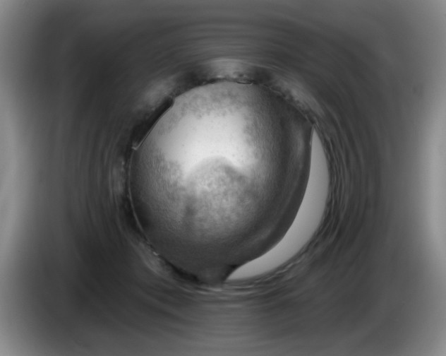 X0000083970413200703091807