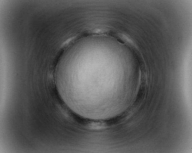X0000083970415200703091807