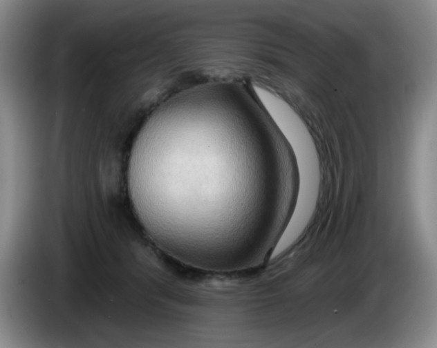 X0000083970416200703091807