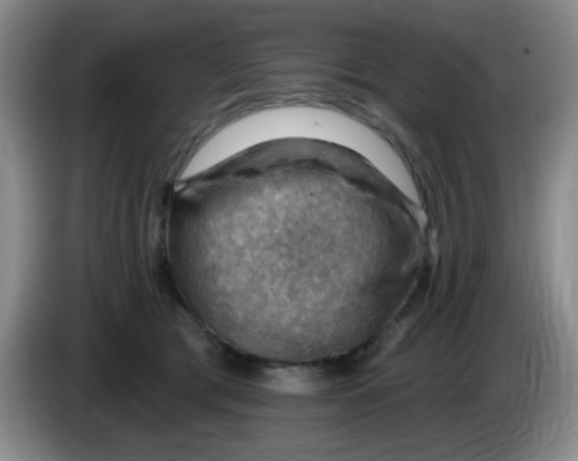 X0000083970417200703091807