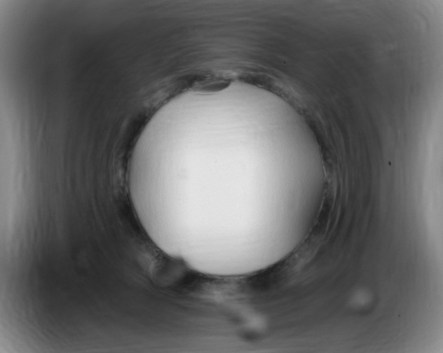 X0000083970418200703091807