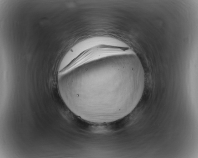 X0000083970419200703091807