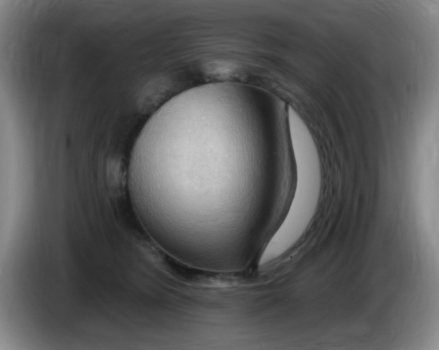 X0000083970420200703091807