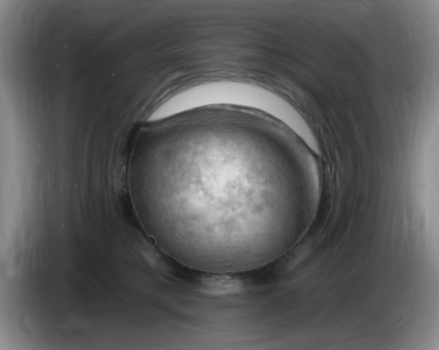 X0000083970421200703091807