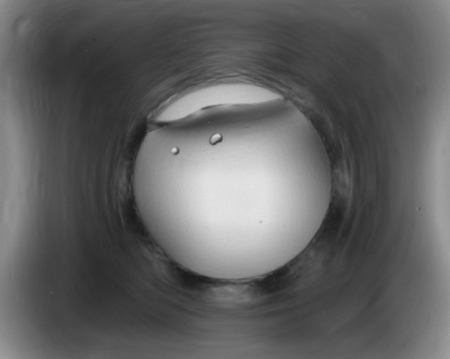 X0000083970422200703091807