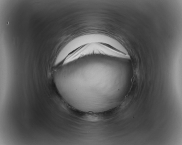 X0000083970423200703091807