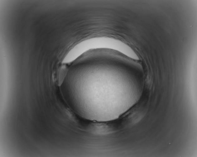 X0000083970424200703091807