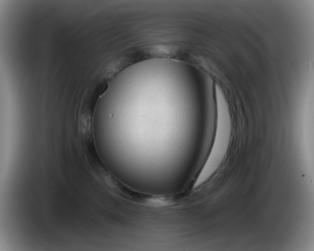 X0000083970425200703091807