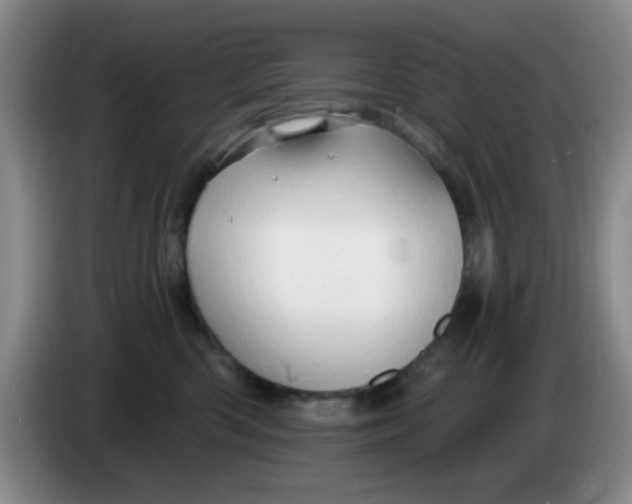 X0000083970426200703091807