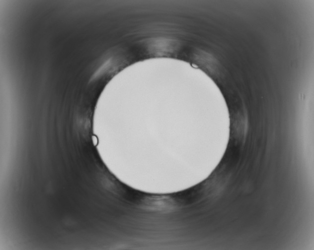 X0000083970427200703091807