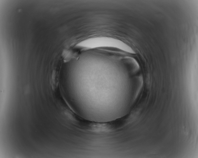 X0000083970428200703091807