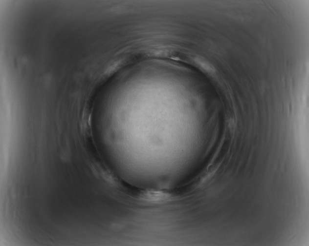 X0000083970429200703091807
