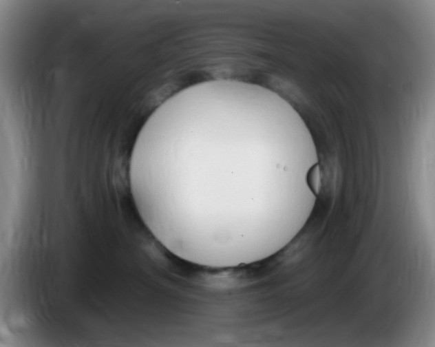 X0000083970430200703091807