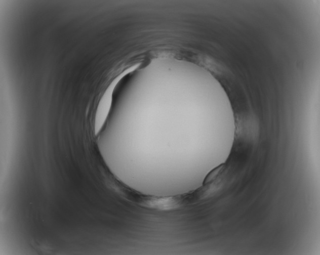 X0000083970431200703091807