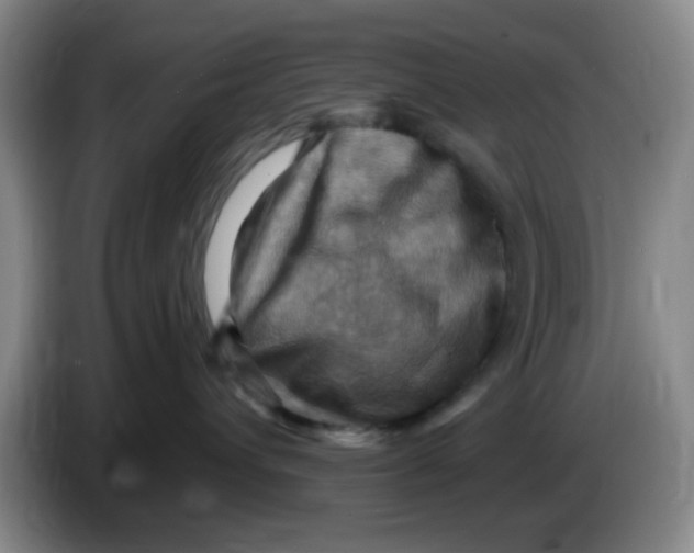 X0000083970432200703091807