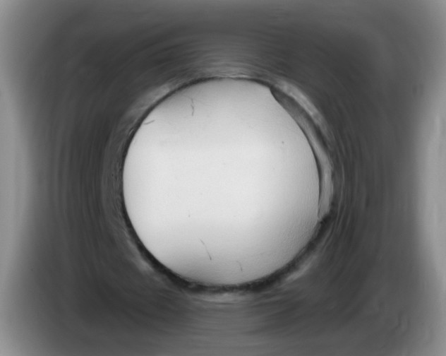X0000083970433200703091806
