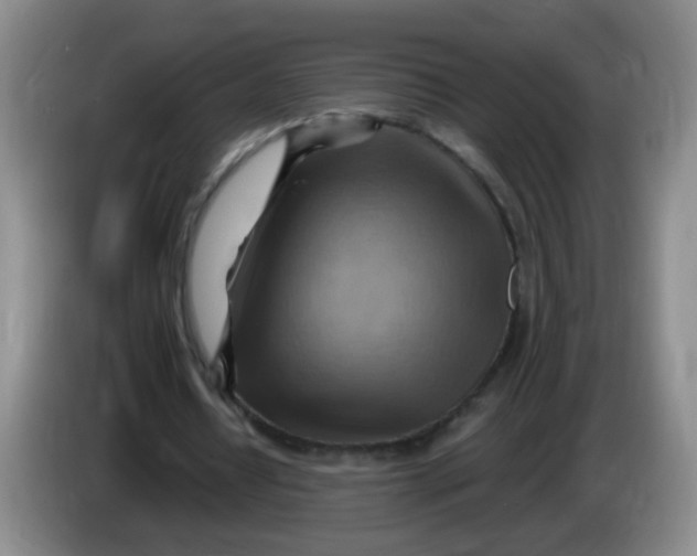 X0000083970434200703091806