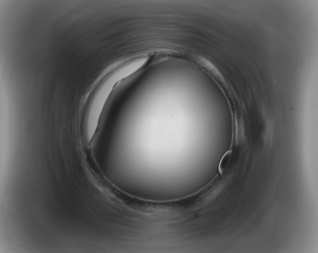 X0000083970435200703091806