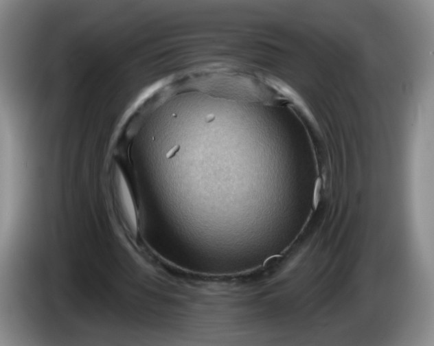X0000083970436200703091806