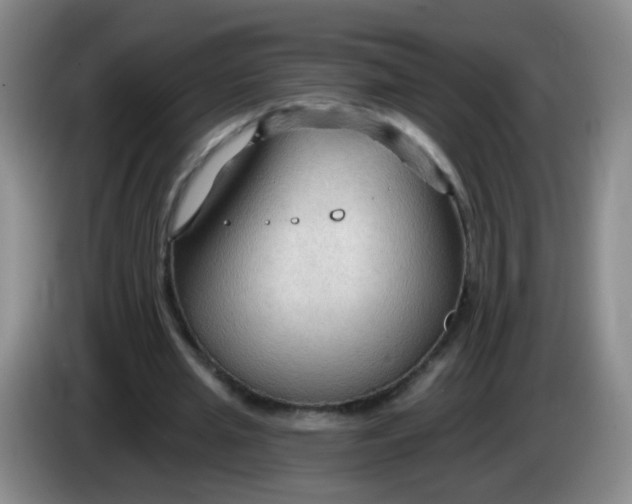 X0000083970437200703091806