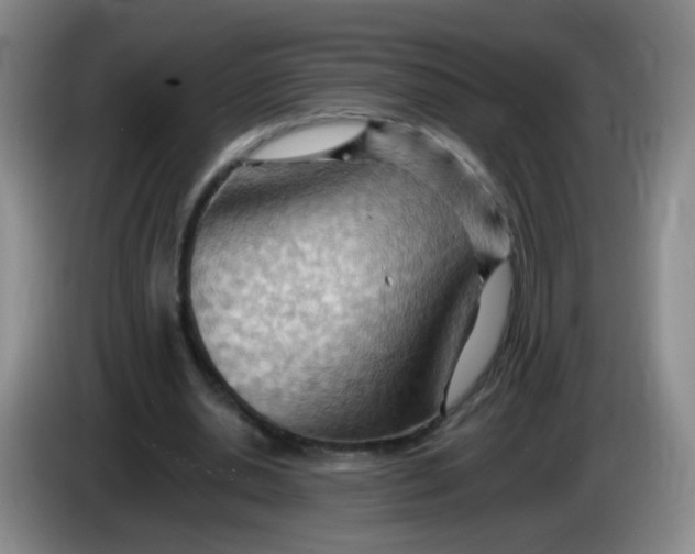 X0000083970438200703091806