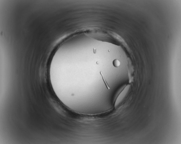 X0000083970439200703091806