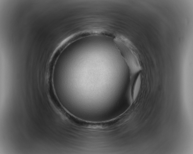 X0000083970440200703091806