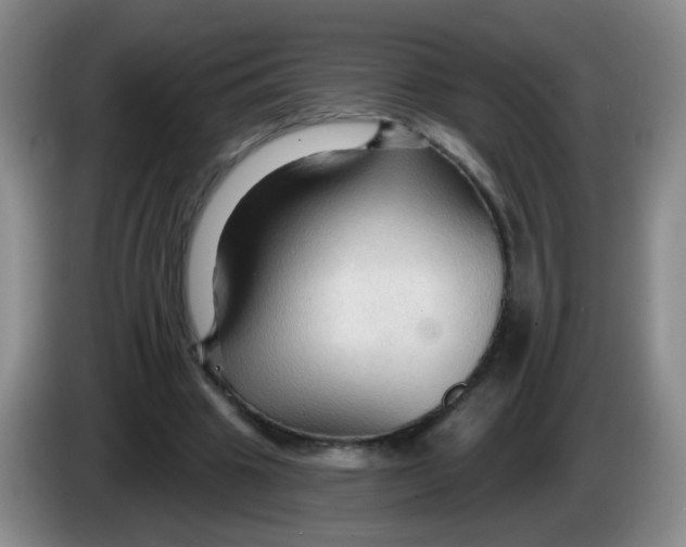 X0000083970441200703091806