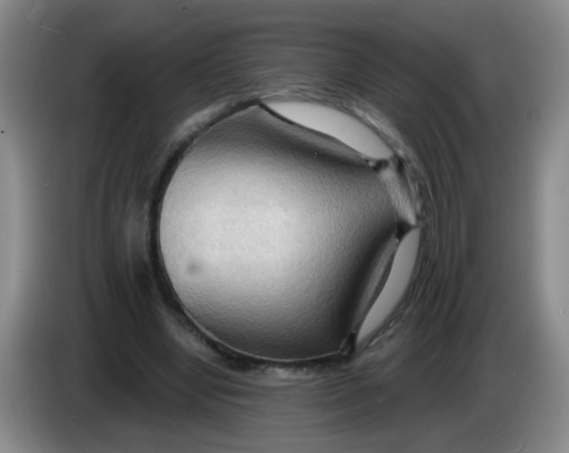 X0000083970442200703091806