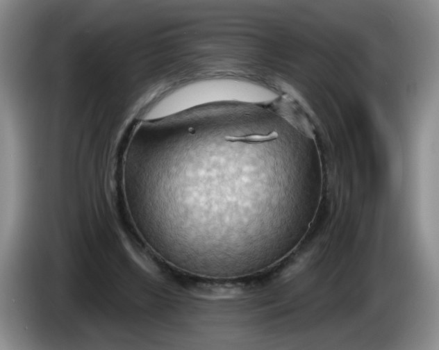 X0000083970443200703091806