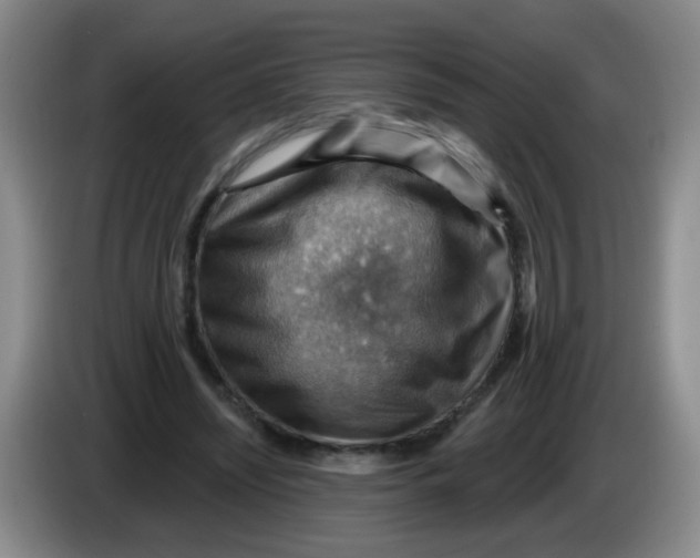 X0000083970444200703091806