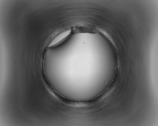 X0000083970445200703091806
