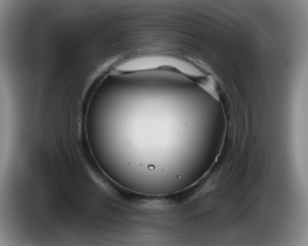 X0000083970446200703091806