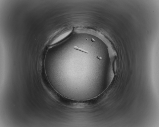 X0000083970448200703091806