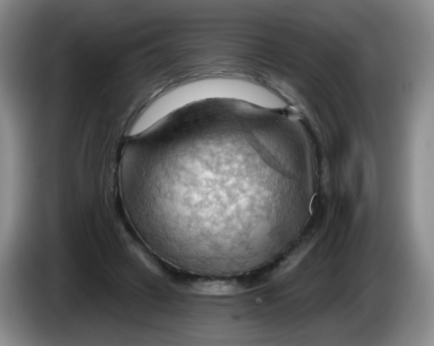 X0000083970449200703091806