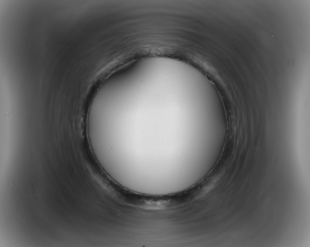 X0000083970450200703091806