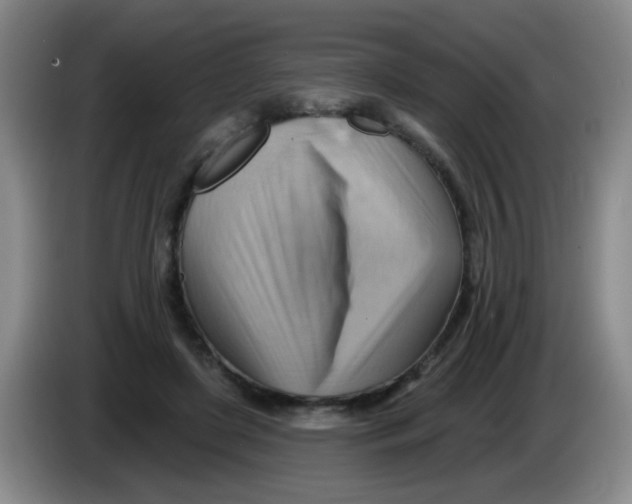 X0000083970451200703091806