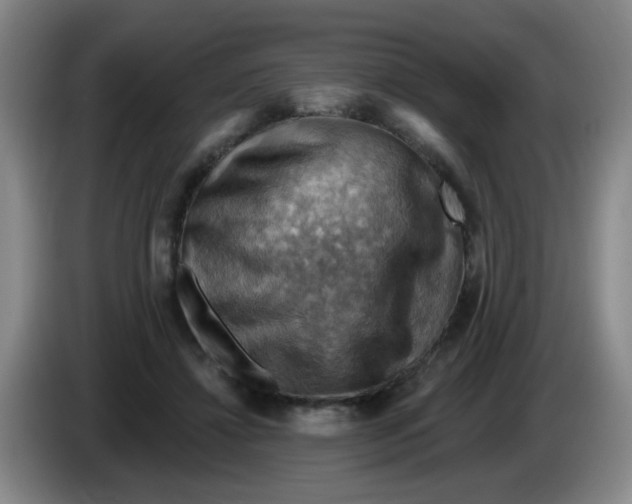 X0000083970452200703091806