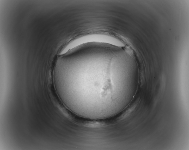X0000083970453200703091806