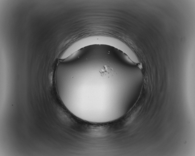 X0000083970454200703091806
