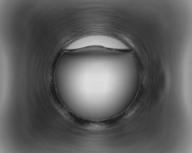 X0000083970455200703091806