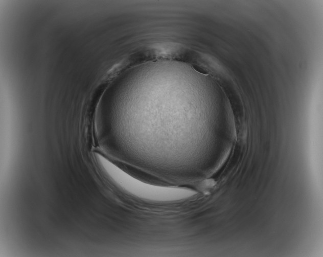 X0000083970456200703091806