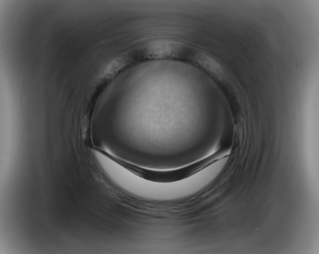 X0000083970458200703091806
