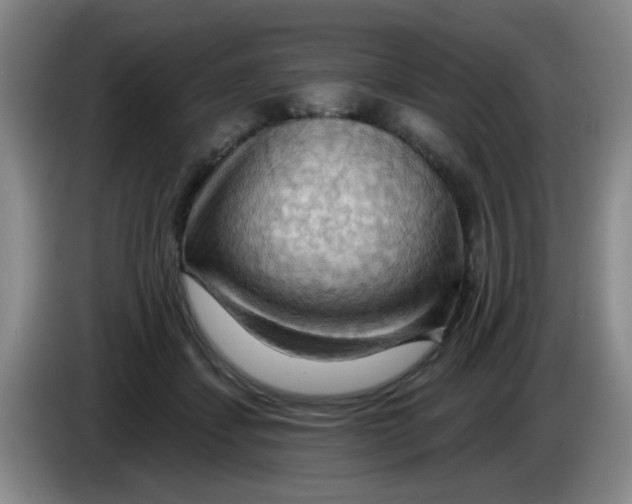 X0000083970459200703091806