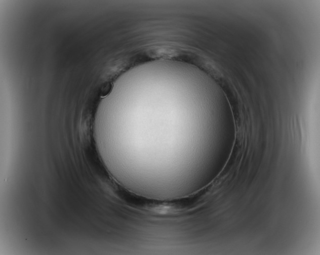 X0000083970460200703091806