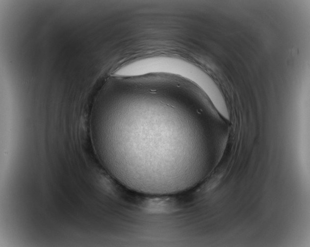 X0000083970461200703091806
