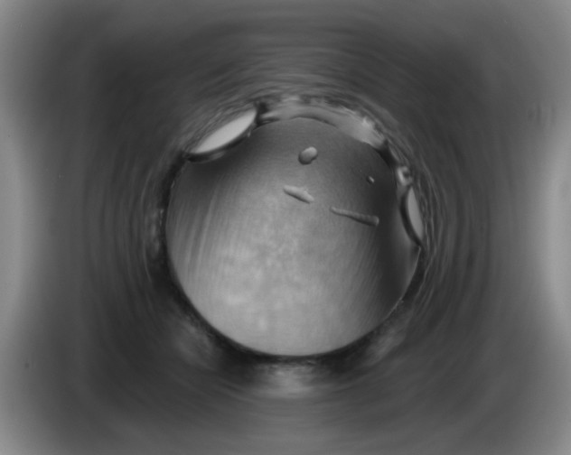X0000083970462200703091806