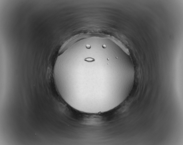 X0000083970463200703091806