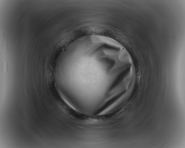X0000083970464200703091806